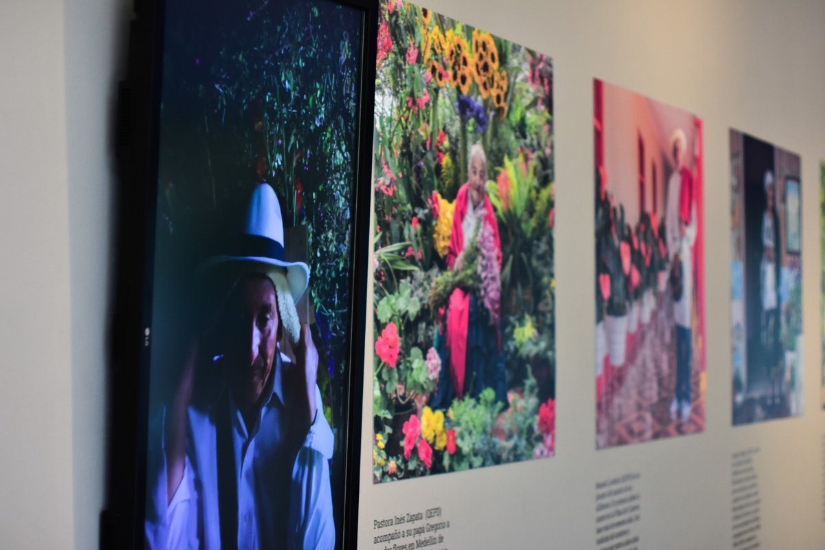 Exposición “Medellín, memorias que florecen”: un homenaje a la historia de cinco rostros silleteros