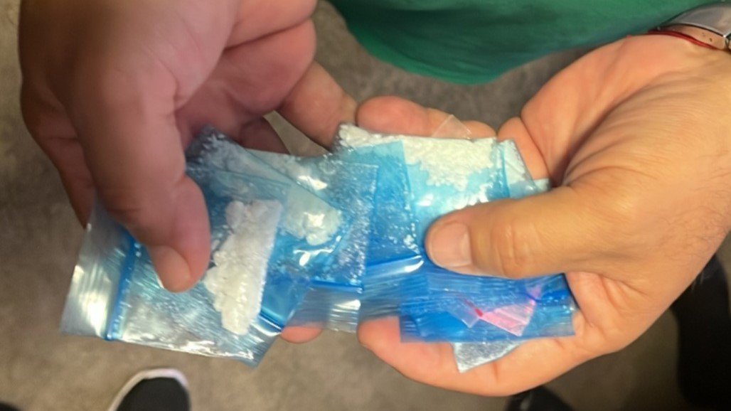 Por Feria de las Flores, en Medellín se intensifican operativos en hoteles, moteles y hostales Por Feria de las Flores, en Medellín se intensifican operativos en hoteles, moteles y hostales