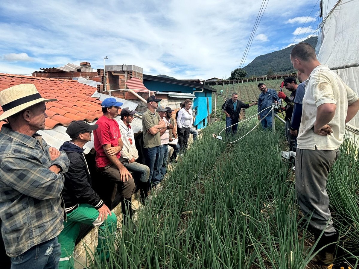 Medellín emprenderá cuatro proyectos del Programa Agropecuario Distrital que contarán con $23.000 millones en el cuatrienio