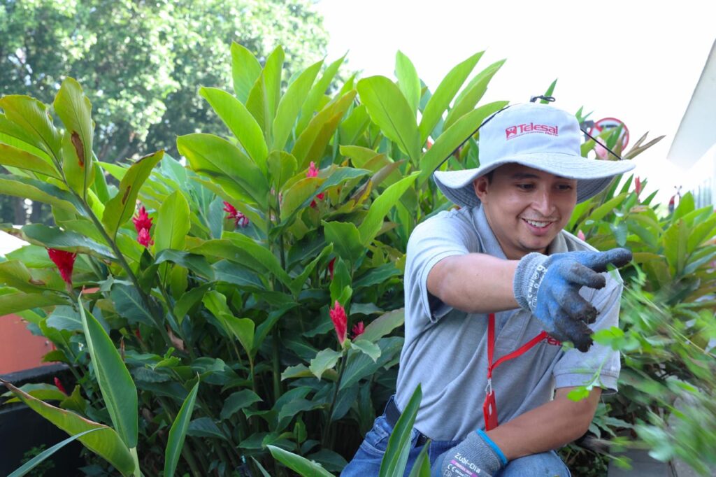 Jardinero Terminales Medellín