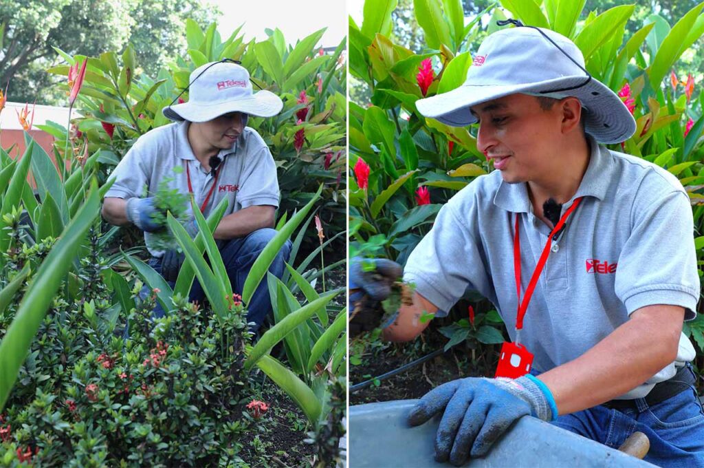 Jardinero Terminales Medellín