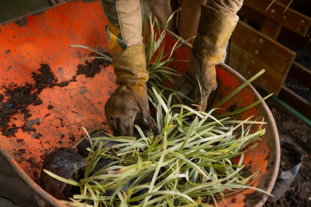 Medellín tendrá un nuevo corredor verde entre la glorieta de Exposiciones y la de San Diego
