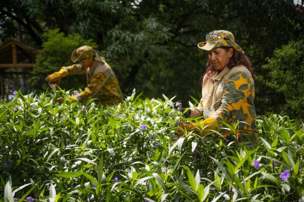 Medellín tendrá un nuevo corredor verde entre la glorieta de Exposiciones y la de San Diego