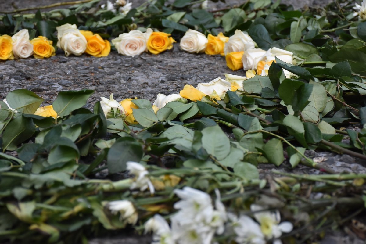 Medellín conmemora el Día Internacional de la No Violencia con una jornada simbólica y cultural