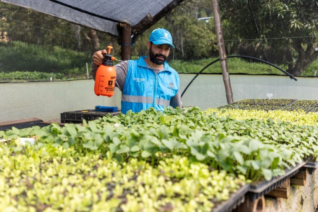 En el Día Mundial de la Alimentación, Medellín refuerza su compromiso con la seguridad alimentaria
