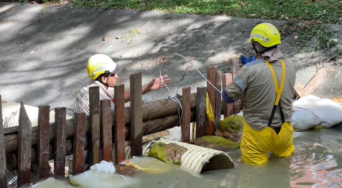 La Alcaldía de Medellín ha intervenido 99 puntos críticos en cauces de quebradas con acciones preventivas frente a la temporada de lluvias