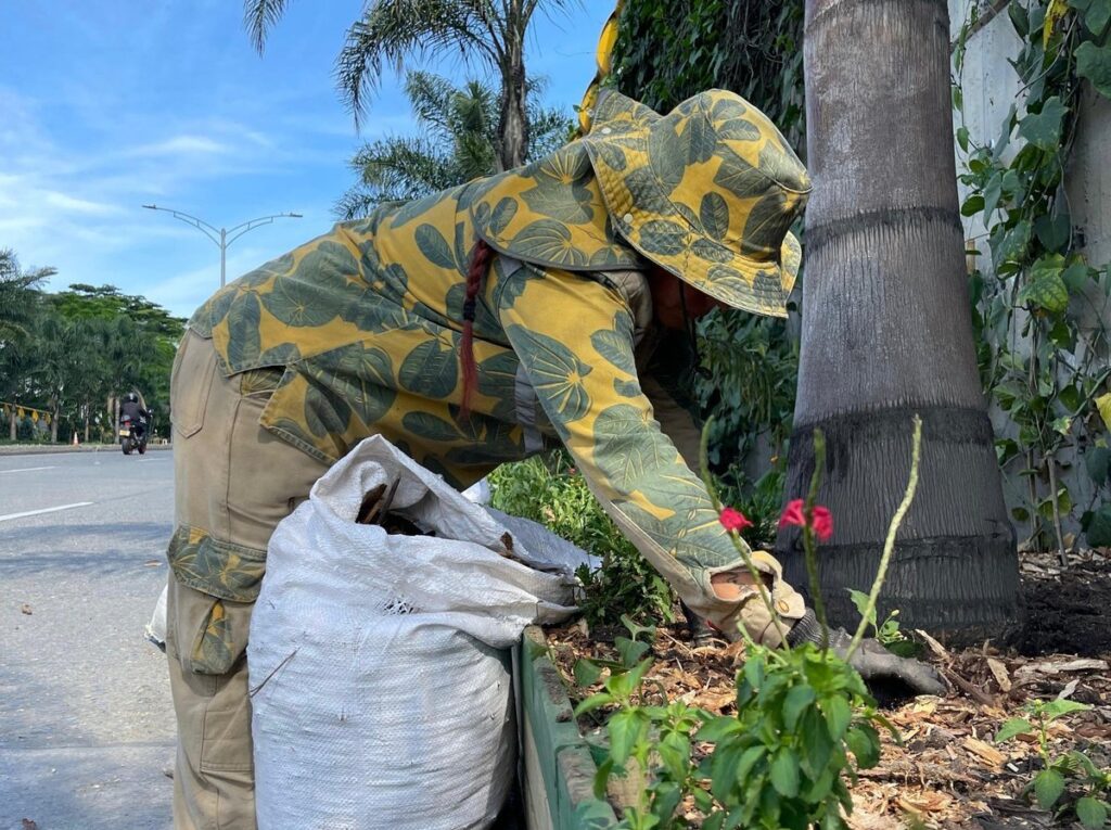 Medellín es finalista del Desafío de Ciudades de WWF: una oportunidad para votar por la sostenibilidad