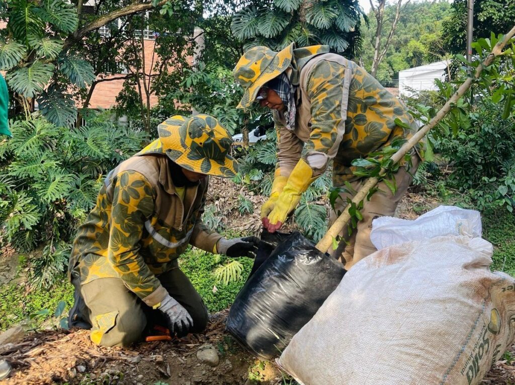 Medellín es finalista del Desafío de Ciudades de WWF: una oportunidad para votar por la sostenibilidad