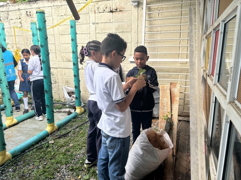 3.610 niños y jóvenes de los corregimientos de Medellín fortalecen su vocación agropecuaria