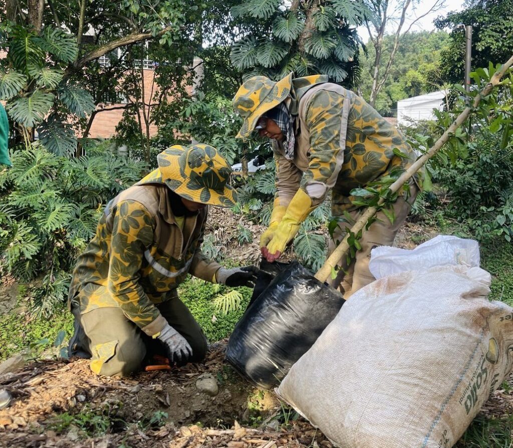 Avanza el plan para reverdecer a Medellín: se han intervenido cerca de 1.200.000 metros cuadrados de corredores verdes en quebradas y cerros