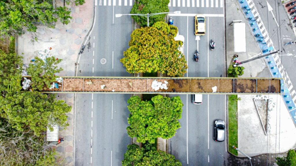 Medellín le apuesta al reciclaje de puentes: tres peatonales en desuso serán pasos de fauna silvestre