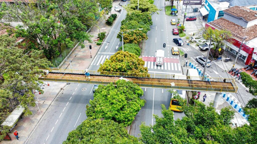 Medellín le apuesta al reciclaje de puentes: tres peatonales en desuso serán pasos de fauna silvestre