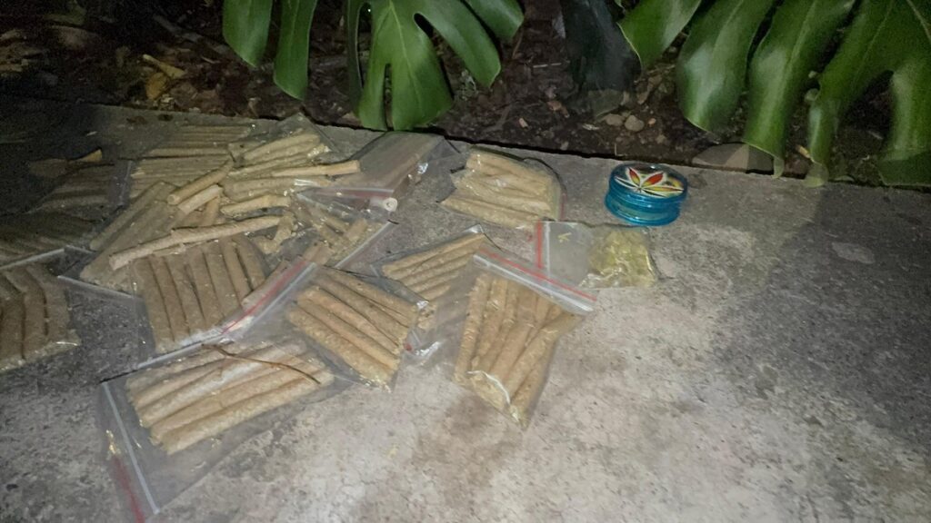 Gracias a ‘Zeus’, un perro que detecta sustancias alucinógenas, autoridades incautaron marihuana en el Puente de la 4 Sur