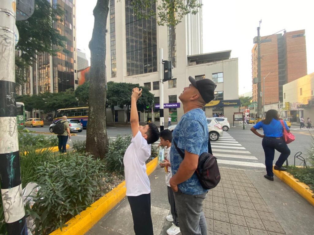 Pericos en la Oriental