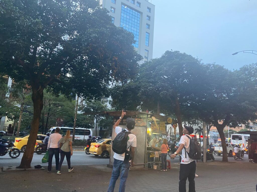 Pericos en la Oriental