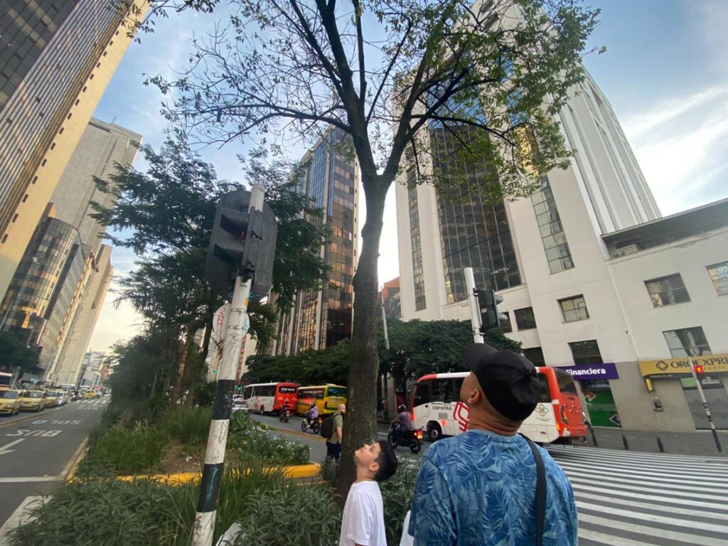 Pericos en la Oriental