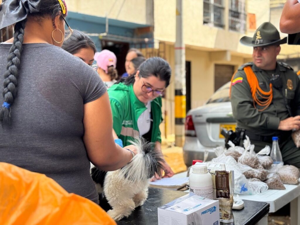 130 animales de compañía del sector El Sinaí, en Santa Cruz, reciben atención integral por parte del Distrito
