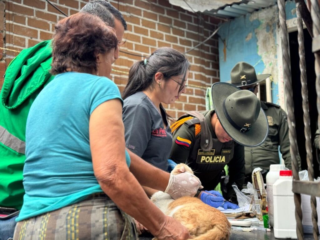 130 animales de compañía del sector El Sinaí, en Santa Cruz, reciben atención integral por parte del Distrito