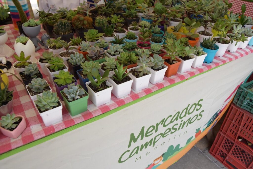 En sus 36 años, Mercados Campesinos espera superar los $9.000 millones en ventas