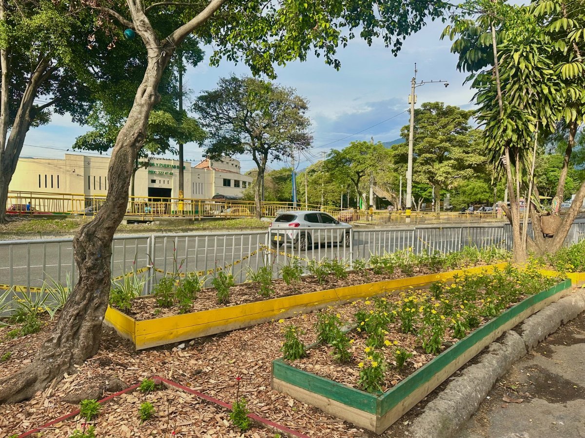 El Distrito renueva el sector Arrabal, en la comuna Laureles-Estadio, con la siembra de 2.500 plantas de jardín