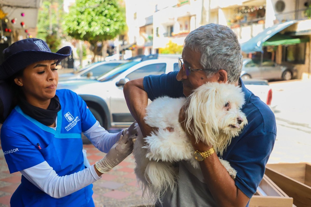 En jornada departamental para prevenir la rabia en perros y gatos, Medellín tendrá cuatro puntos de vacunación En jornada departamental para prevenir la rabia en perros y gatos, Medellín tendrá cuatro puntos de vacunación