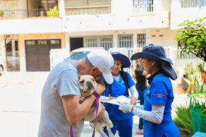En jornada departamental para prevenir la rabia en perros y gatos, Medellín tendrá cuatro puntos de vacunación