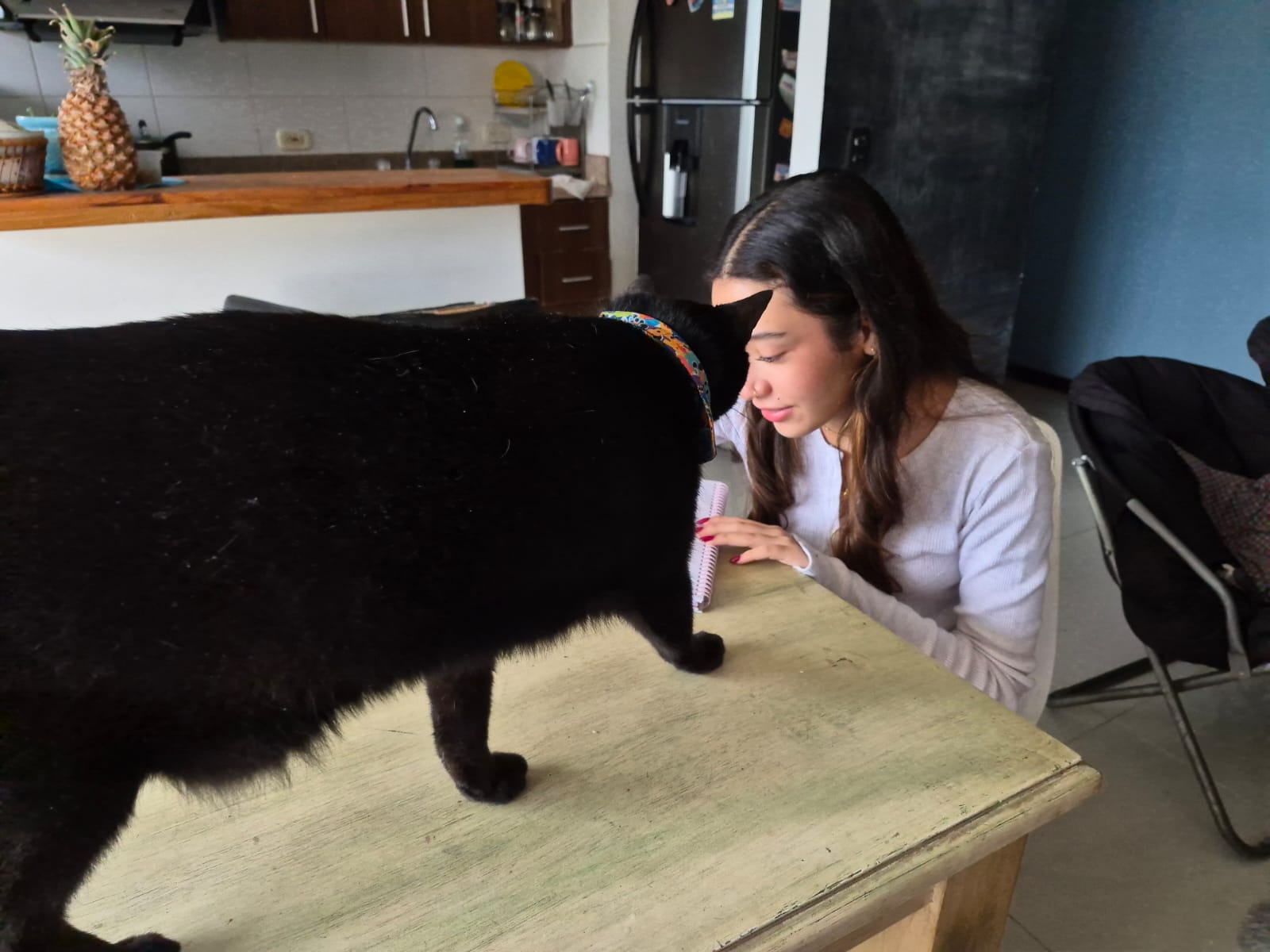 El gato Tizón acompañando a Luciana.