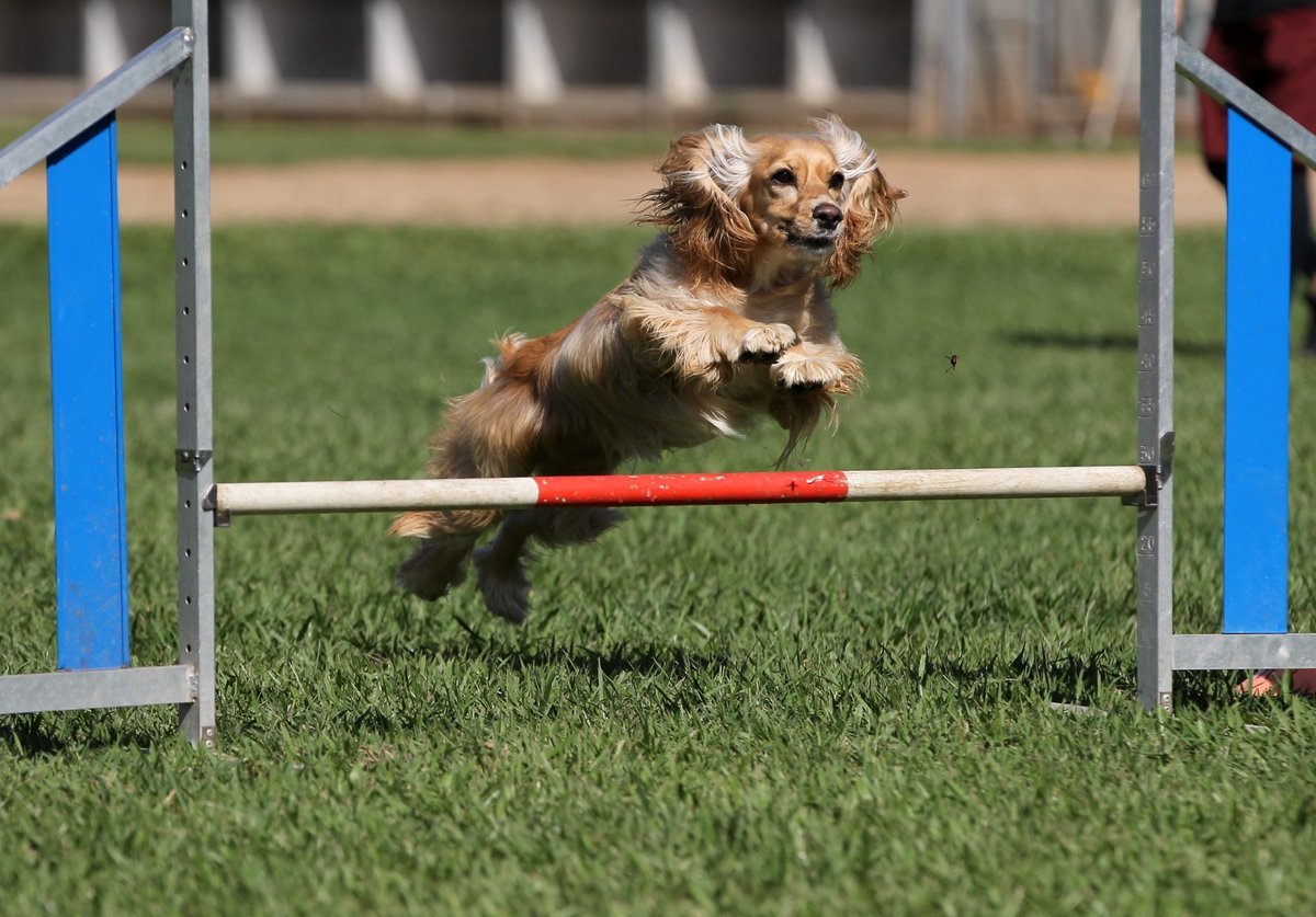 Medellín afianza las Escuelas de Adrenalina y vibró con feria de nuevas tendencias deportivas