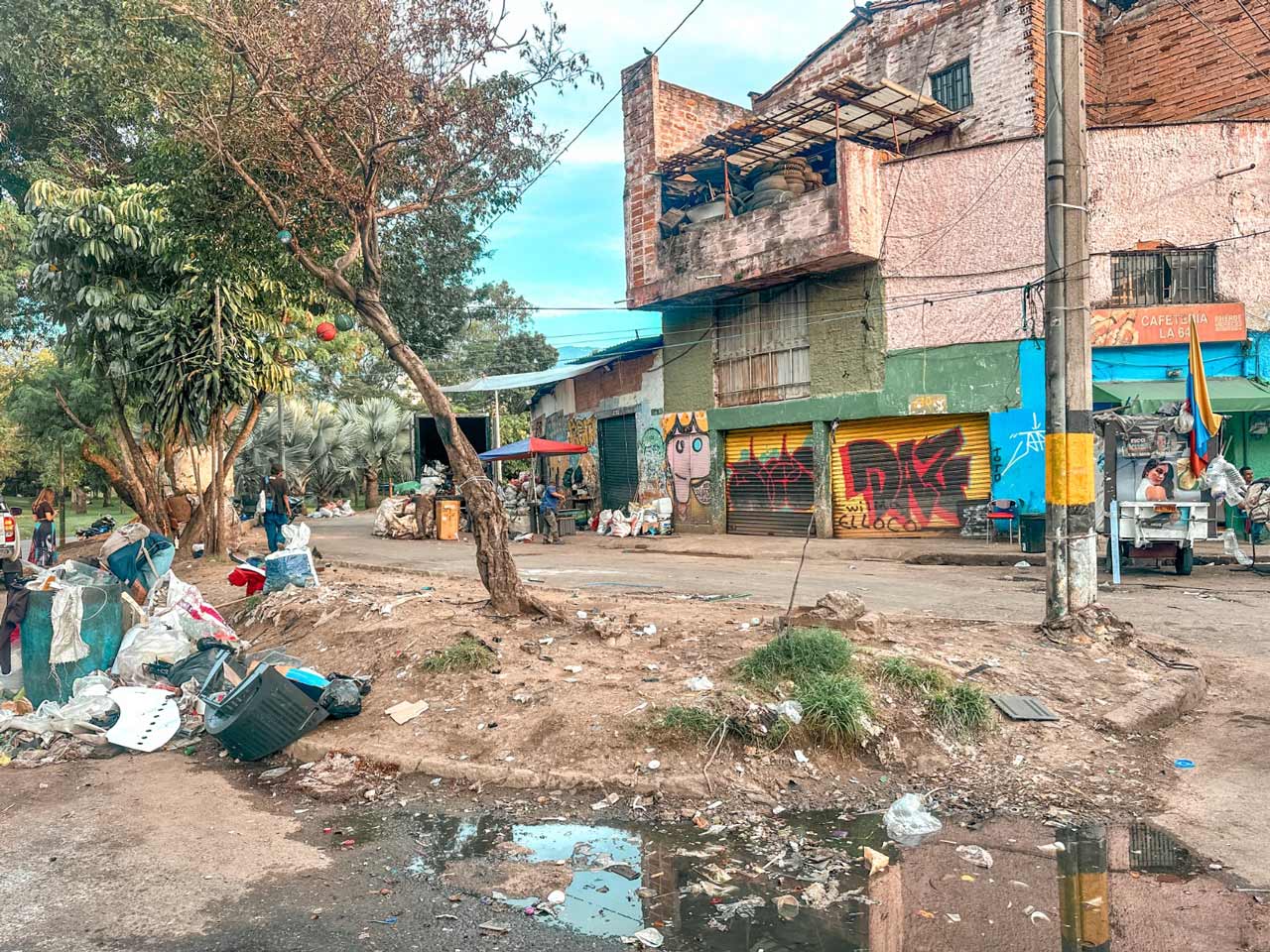 Solo en 2024, el Distrito hizo 1.500 intervenciones ambientales, más del doble de las realizadas en los últimos cuatro años