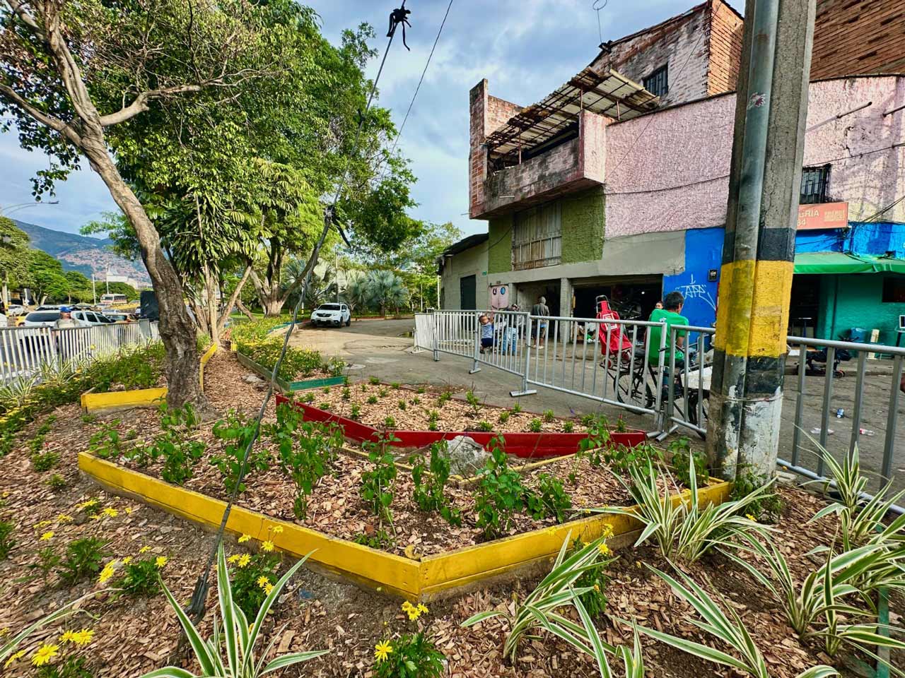 Solo en 2024, el Distrito hizo 1.500 intervenciones ambientales, más del doble de las realizadas en los últimos cuatro años