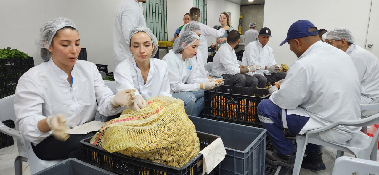 Más de 77 toneladas de alimentos se recuperaron en las plazas de mercado Más de 77 toneladas de alimentos se recuperaron en las plazas de mercado