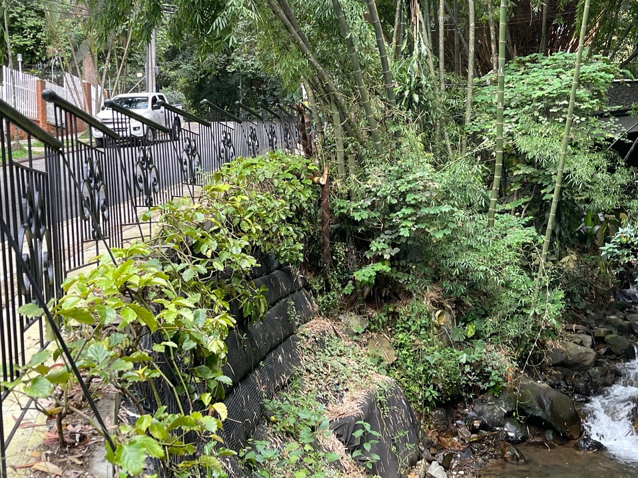 Medellín vuelve a ser una ‘tacita de plata’: el Distrito recuperó el 100 % de las áreas verdes, lo que equivale a 59 veces la superficie del Atanasio Girardot