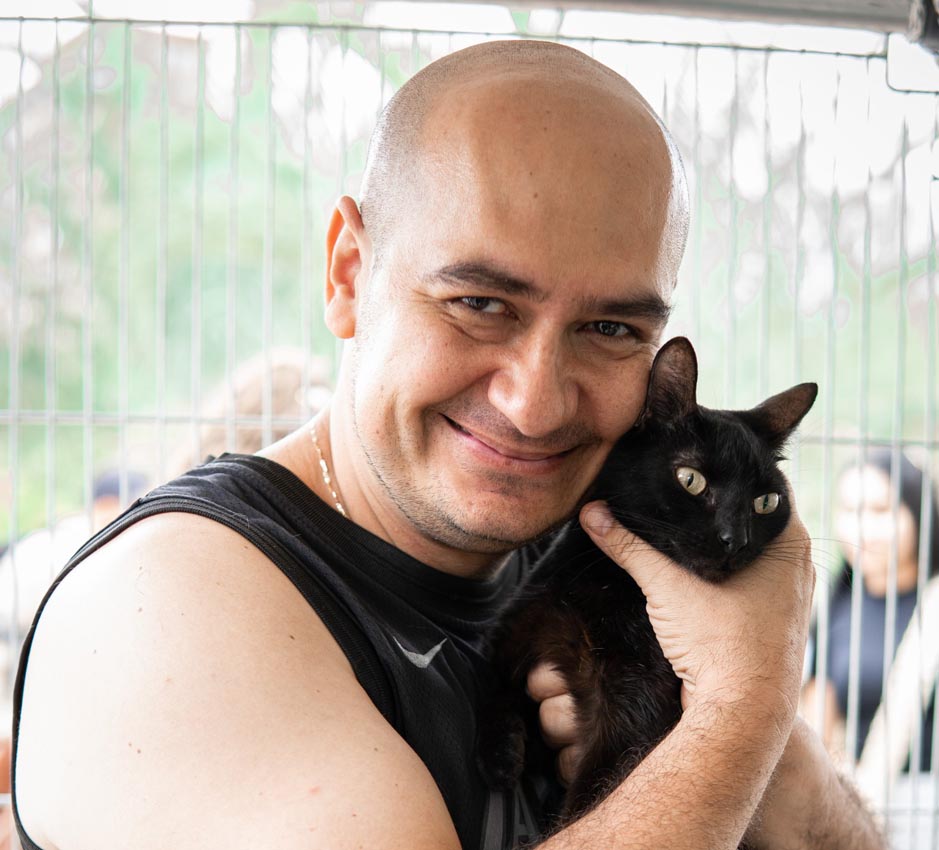 Imagen gato adoptado