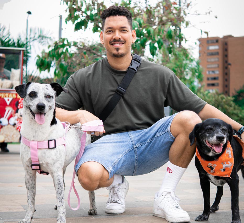 Imagen perros adopción Kadó