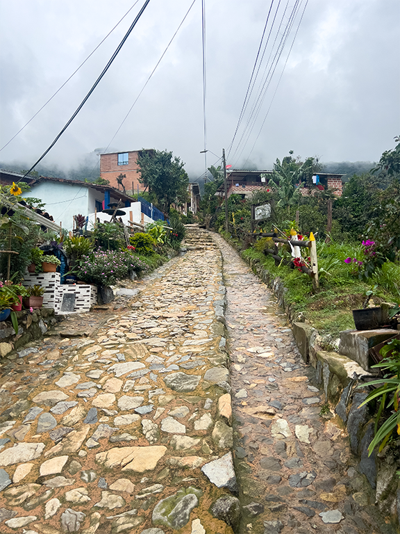 imagen de Altavista Camino Guaca Actividades en corregimientos Medellín