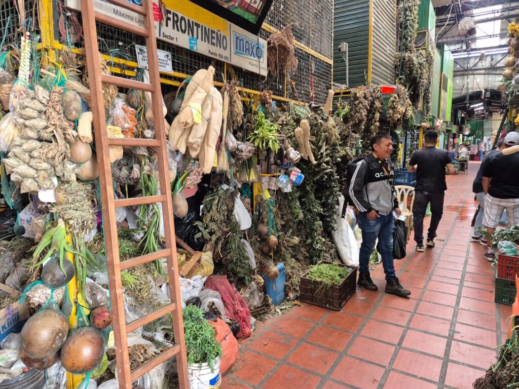 Corredor Plaza Minorista con productos