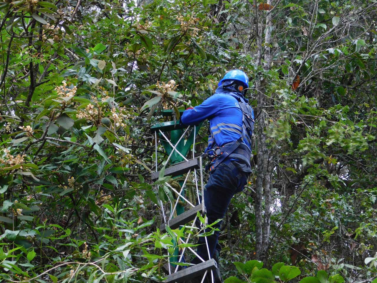 Para proteger a los animales silvestres, la Administración Distrital instaló dos nuevos pasos de fauna