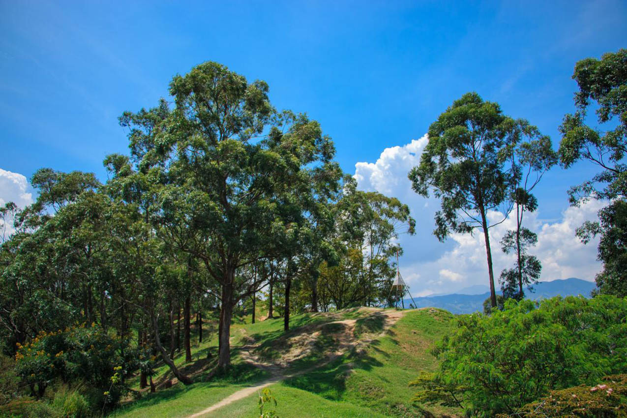 Panorámica de Medellín