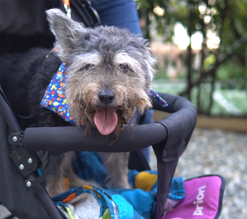 Imagen de Kadó en coche