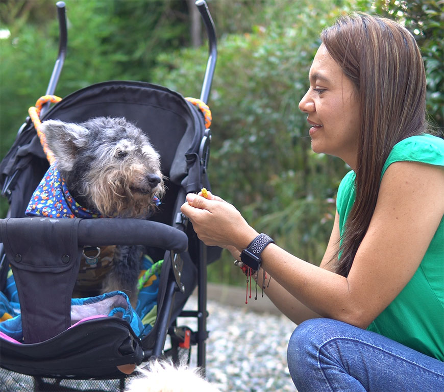 Imagen de Kadó principal