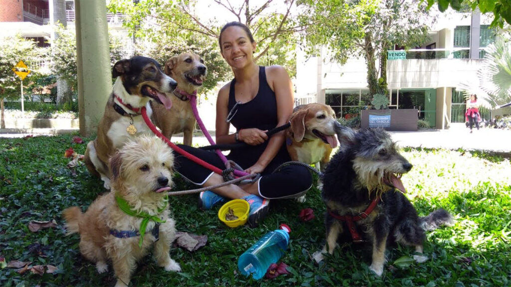 Imagen de perros con paseadora