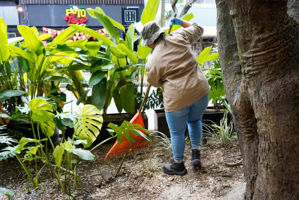 Imagen funcionaria barriendo