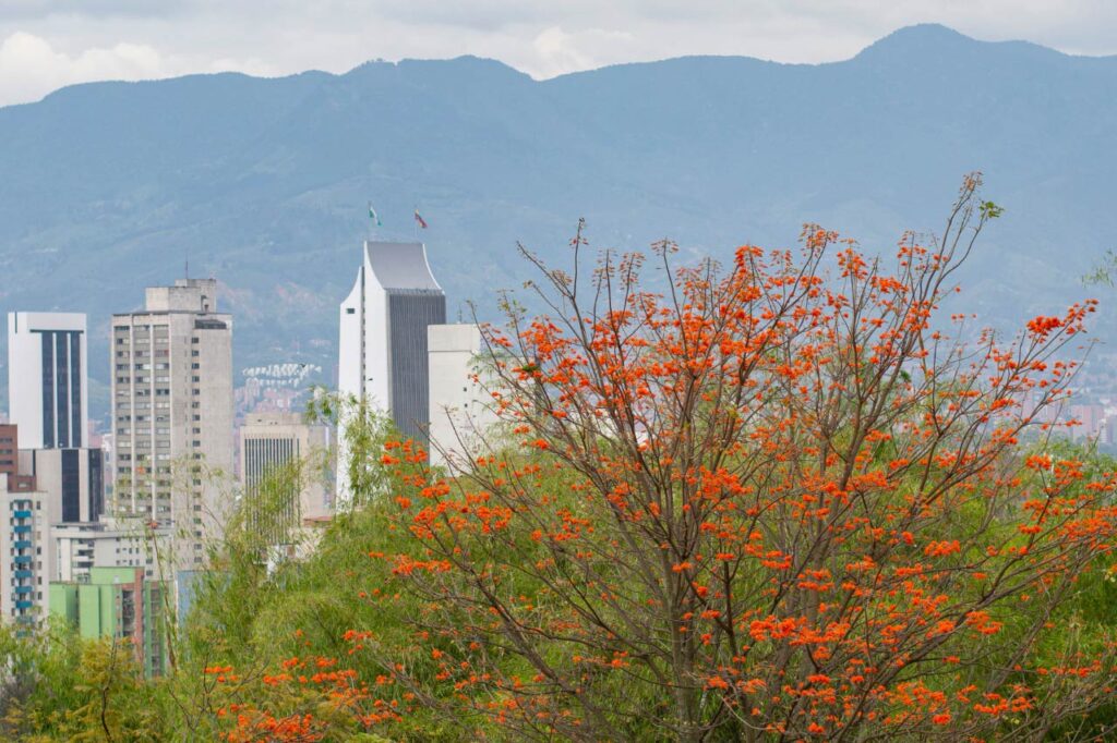 Imagen panorámica de Medellín