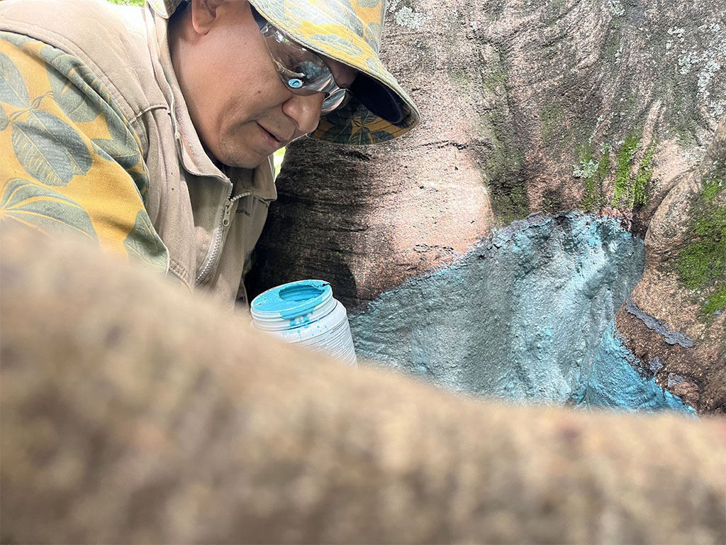 Imagen 5 cuidado de boque