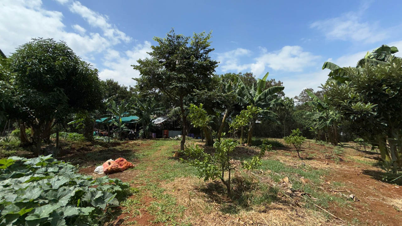 Medellín inaugura la primera biofábrica comunitaria, centro especializado en la generación de abono