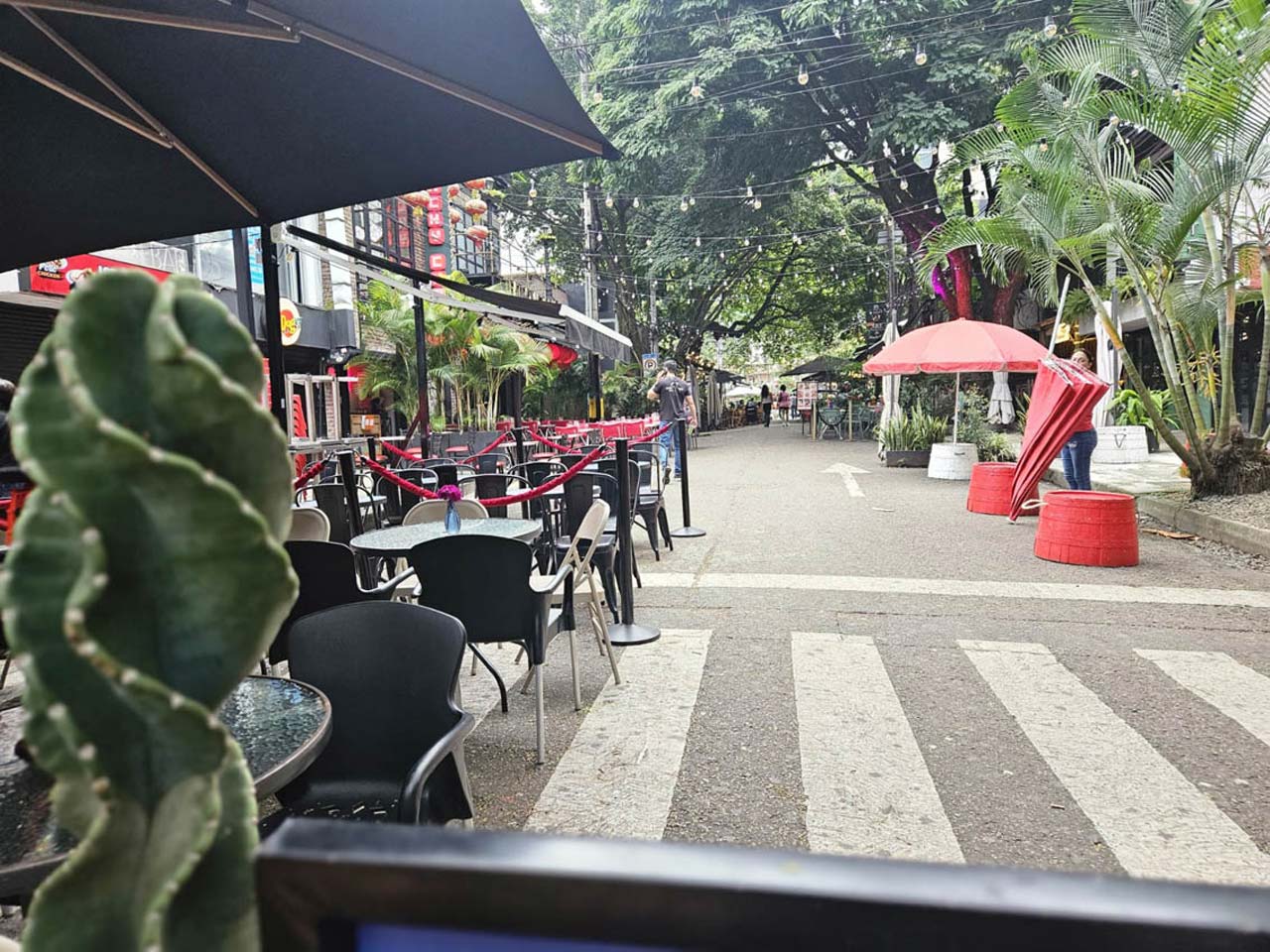 Aprovechamiento económico del espacio público en Provenza deja $660 millones que son invertidos en la zona