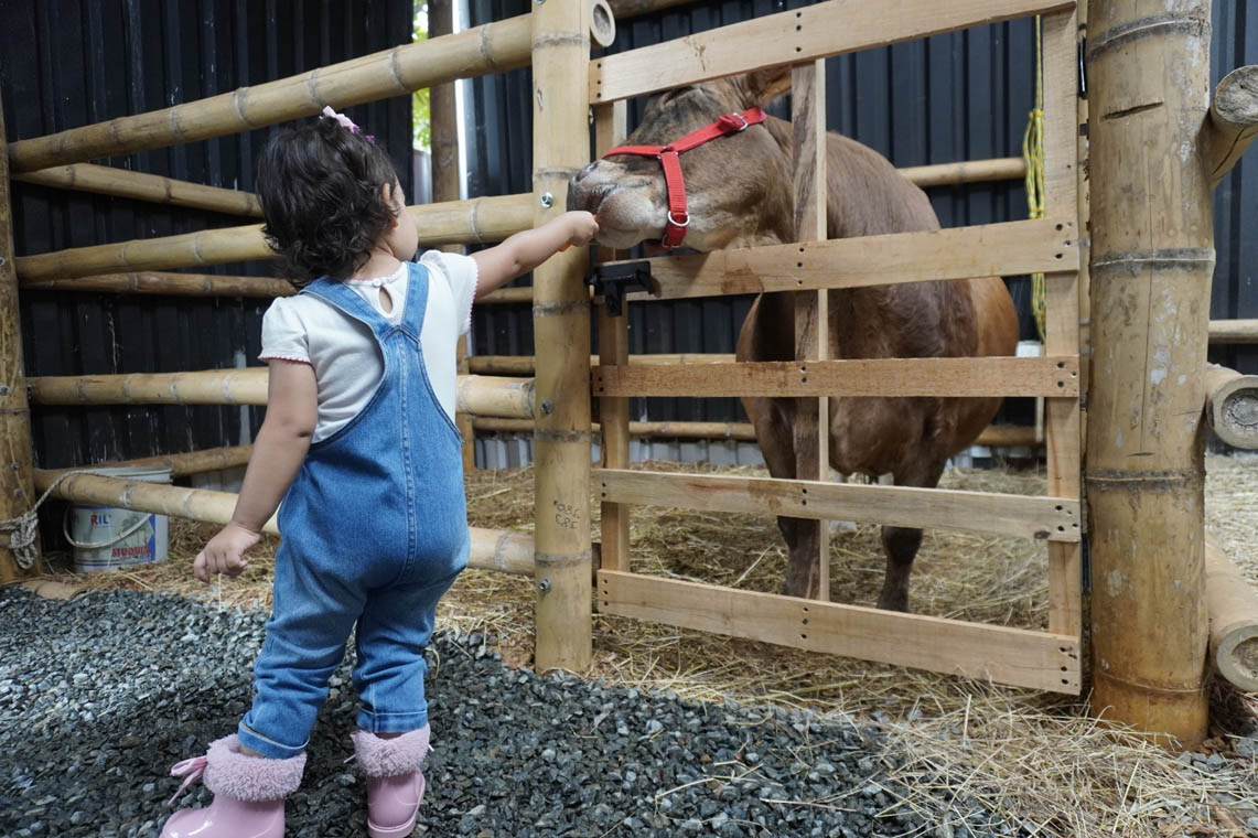 El viernes 25 de abril, el Parque Norte y el Aeroparque Juan Pablo II contarán con entrada libre, como celebración del Mes de la Niñez