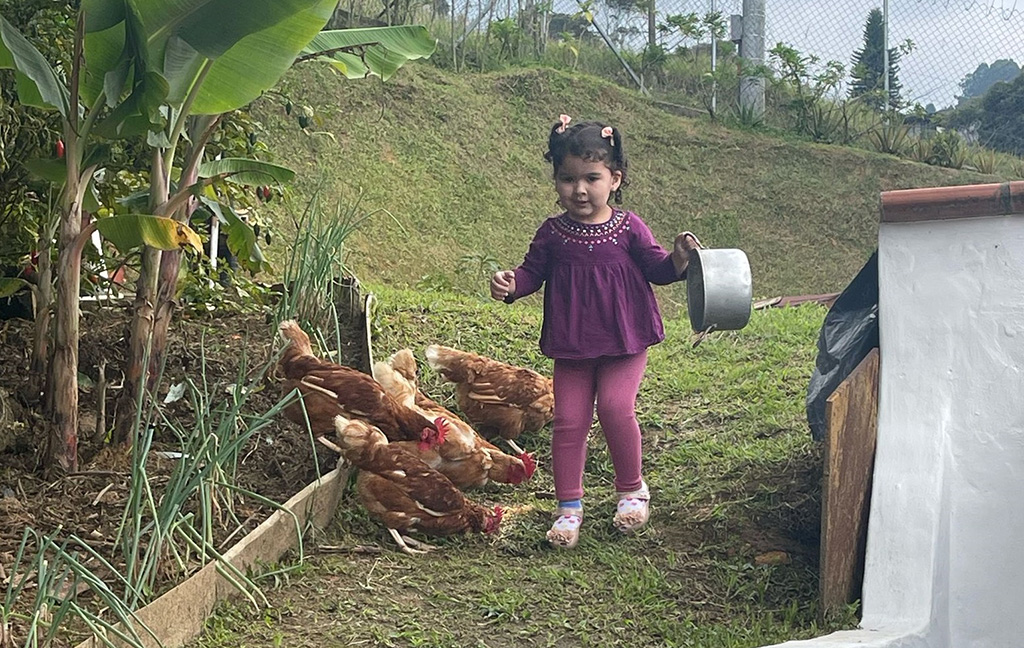Imagen de hija de Ana con gallinas