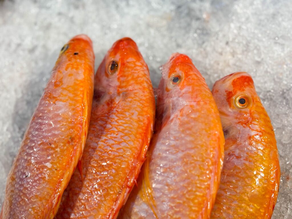 Imagen de pesacado rosado