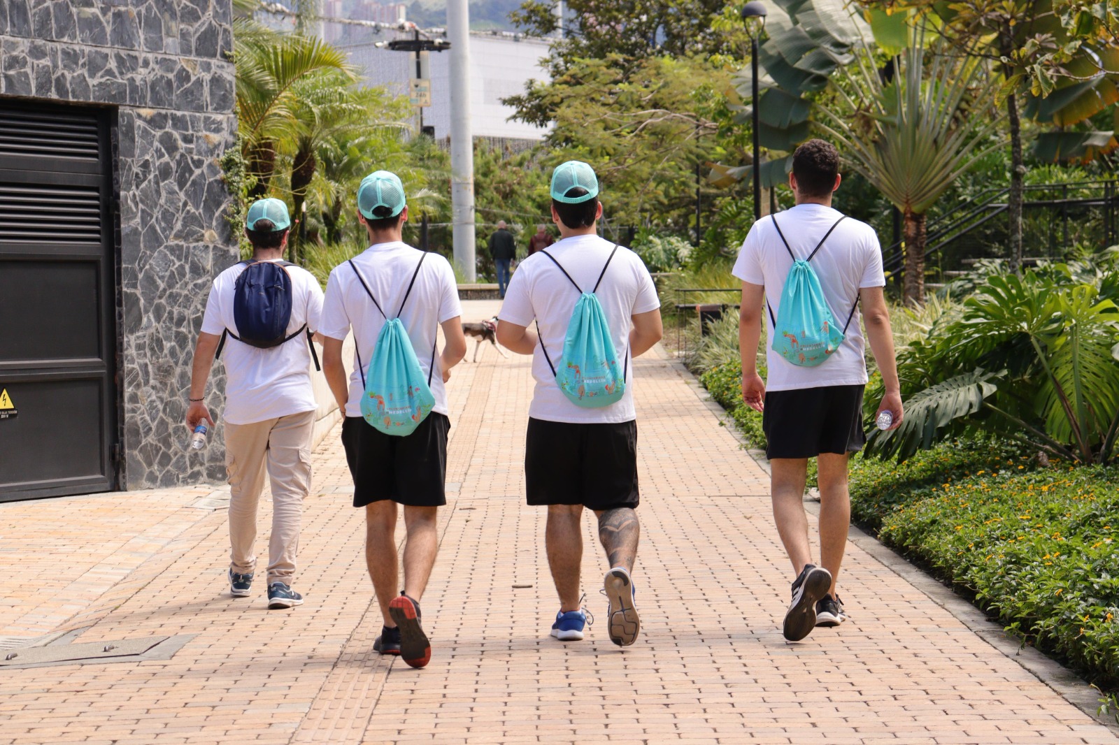 Imagen de voluntarios de espalda